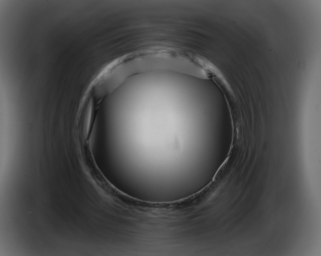 X0000082960436200703020216