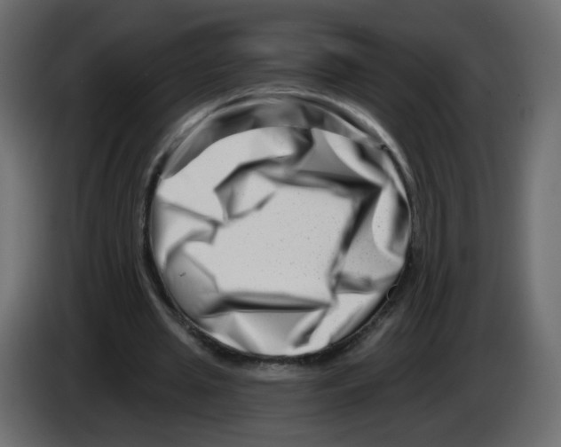 X0000082960437200703020216