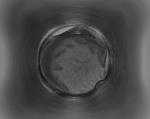 X0000082960438200703020216