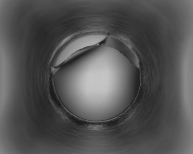 X0000082960440200703020216