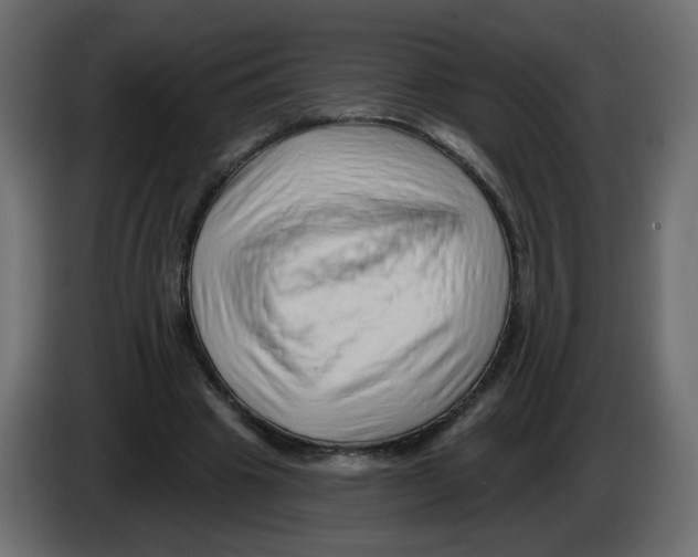 X0000082960441200703020216