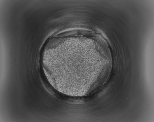 X0000082960443200703020216