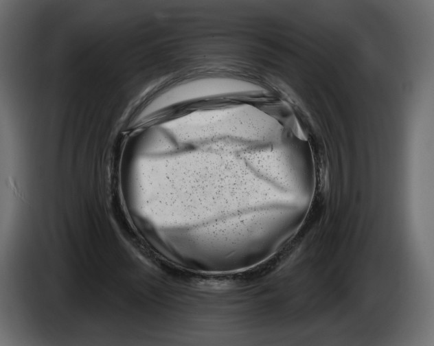 X0000082960444200703020216