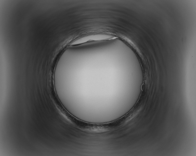 X0000082960445200703020216