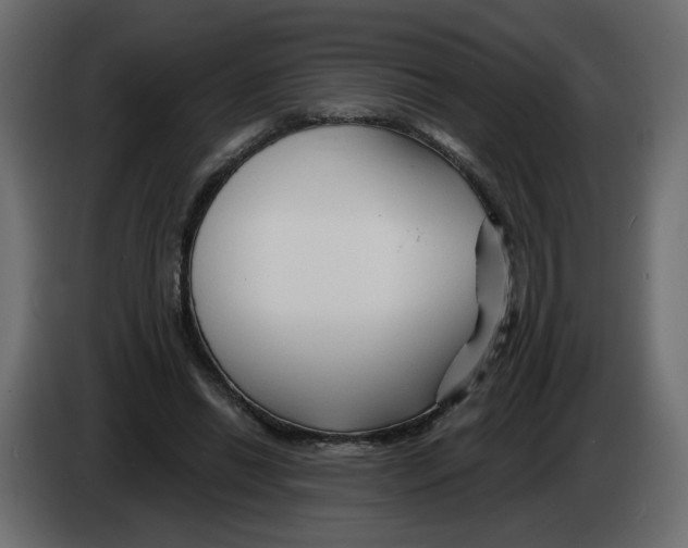 X0000082960446200703020216