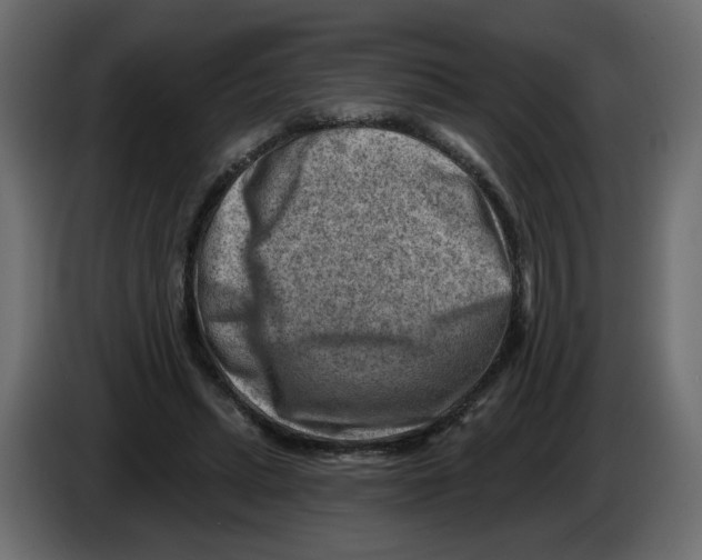 X0000082960447200703020216