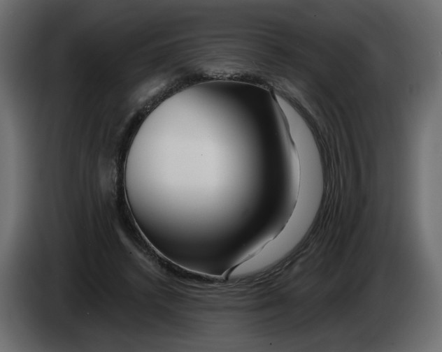 X0000082960448200703020216