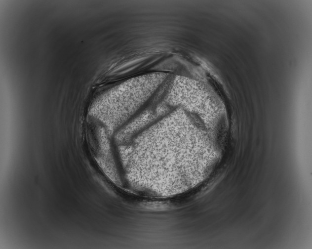 X0000082960449200703020216