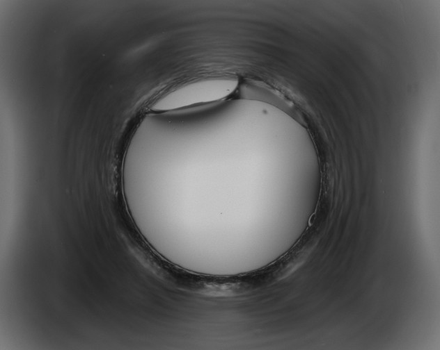 X0000082960450200703020216