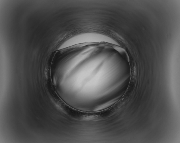 X0000082960452200703020216