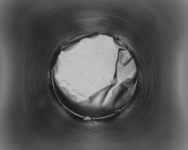 X0000082960453200703020216