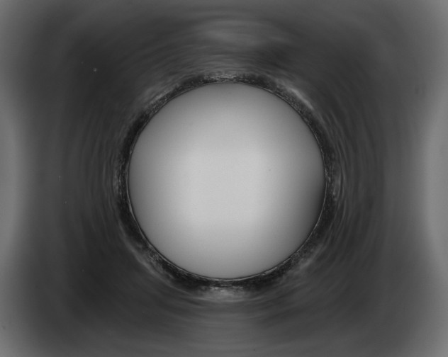 X0000082960455200703020216