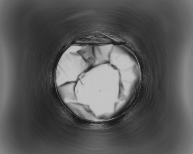 X0000082960457200703020216