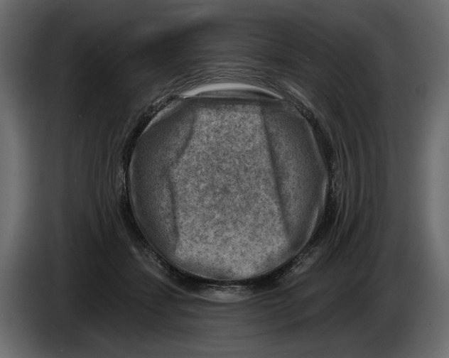 X0000082960459200703020216