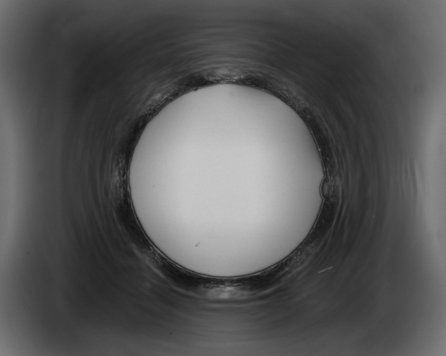 X0000082960460200703020216