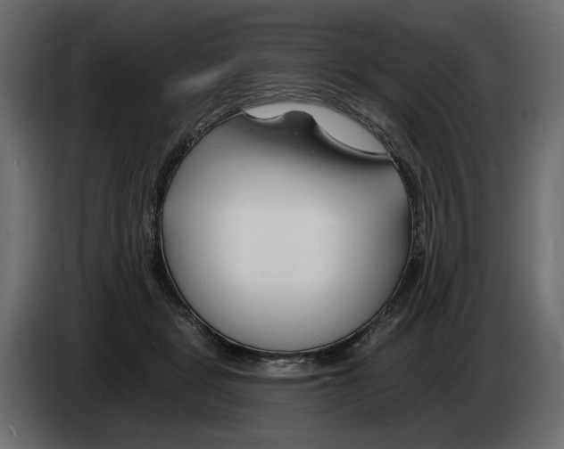 X0000082960461200703020216