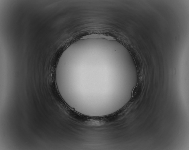 X0000082960464200703020216