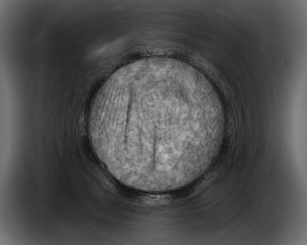 X0000082960465200703020216