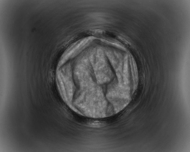 X0000082960467200703020216