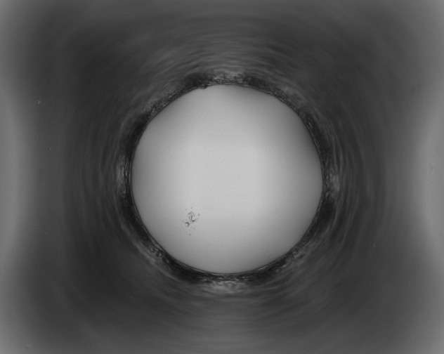 X0000082960468200703020216