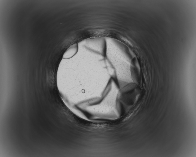 X0000082960469200703020216