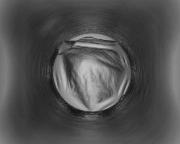 X0000082960470200703020216