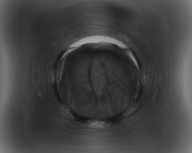 X0000082960471200703020216