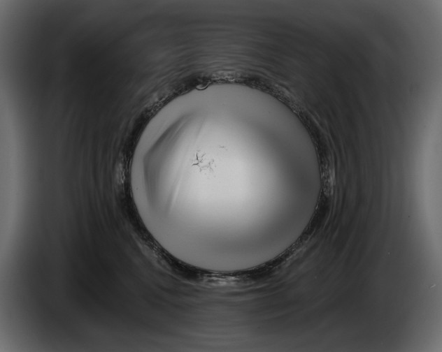 X0000082960472200703020216