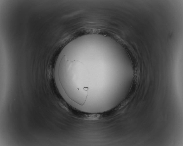 X0000082960474200703020216