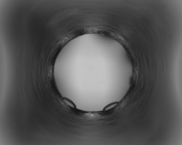 X0000082960477200703020216