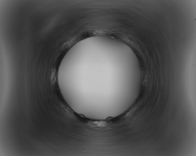 X0000082960478200703020216