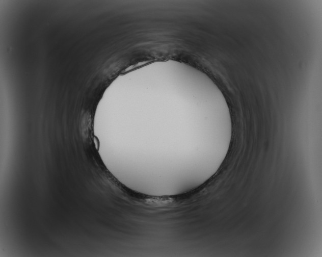 X0000082960480200703020216