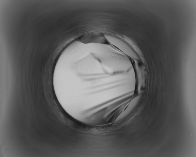 X0000082960481200703020216