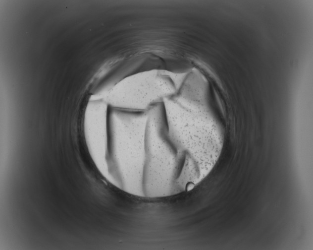 X0000082960482200703020216