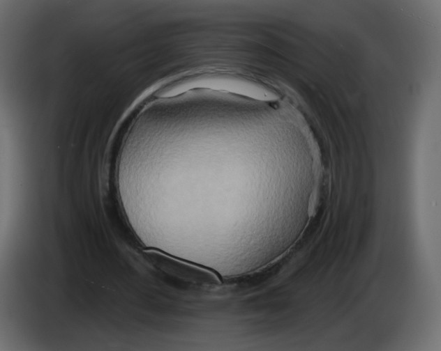 X0000082960484200703020215