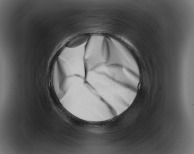 X0000082960486200703020215