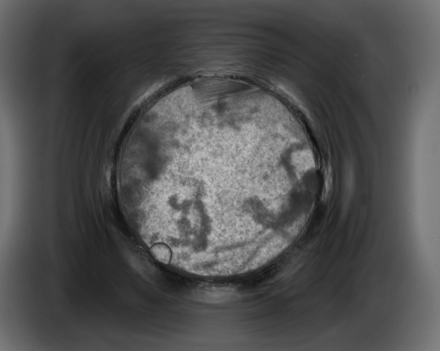 X0000082960491200703020215