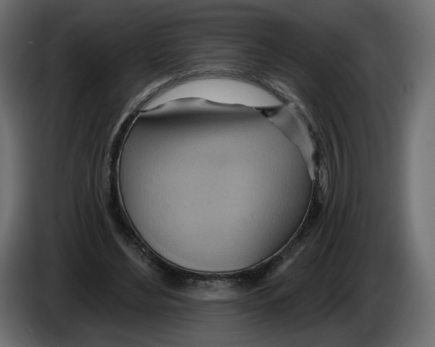 X0000082960492200703020215