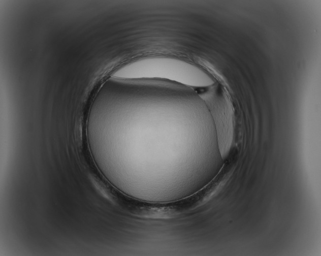 X0000082960493200703020215