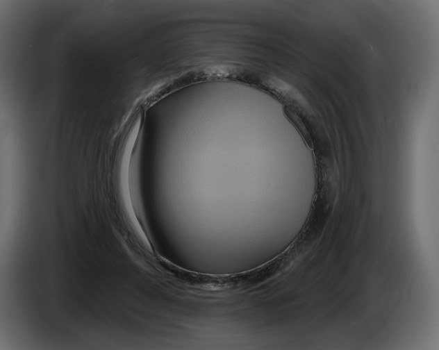 X0000082960496200703020215