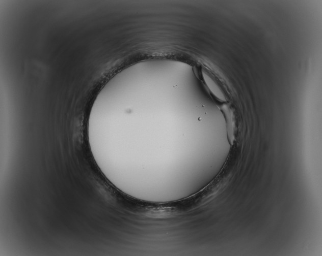 X0000082960497200703020215