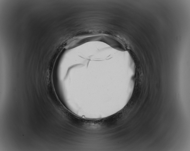 X0000082960498200703020215