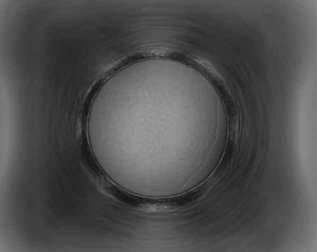 X0000082960500200703020215