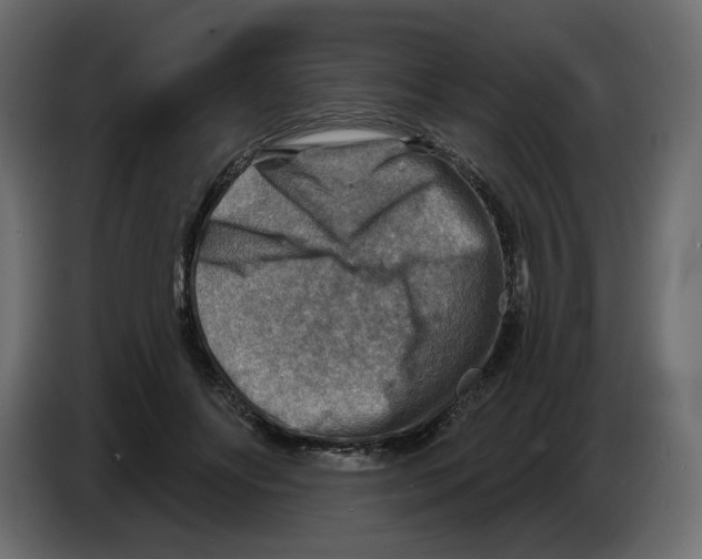 X0000082960502200703020215