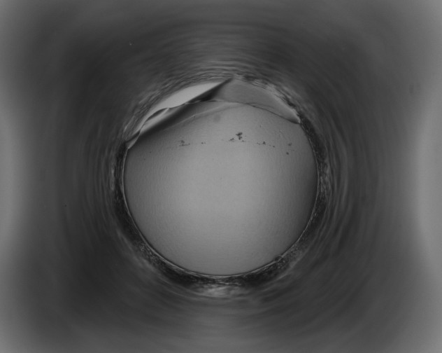 X0000082960504200703020215