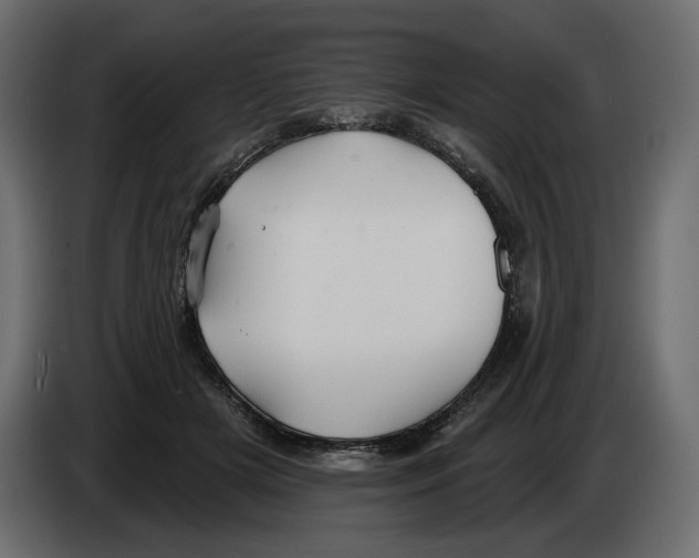 X0000082960505200703020215