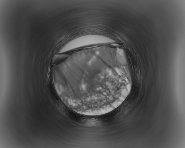 X0000082960507200703020215