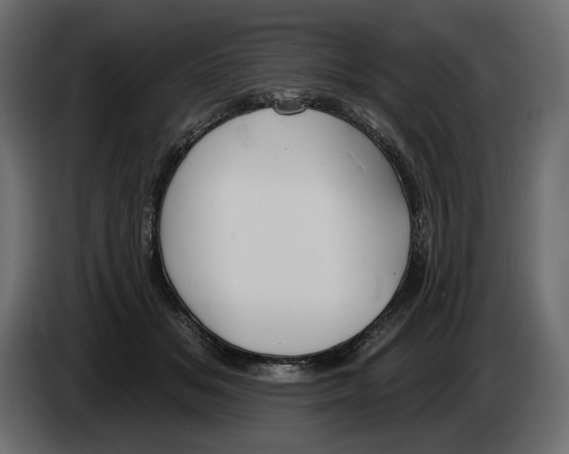 X0000082960509200703020215