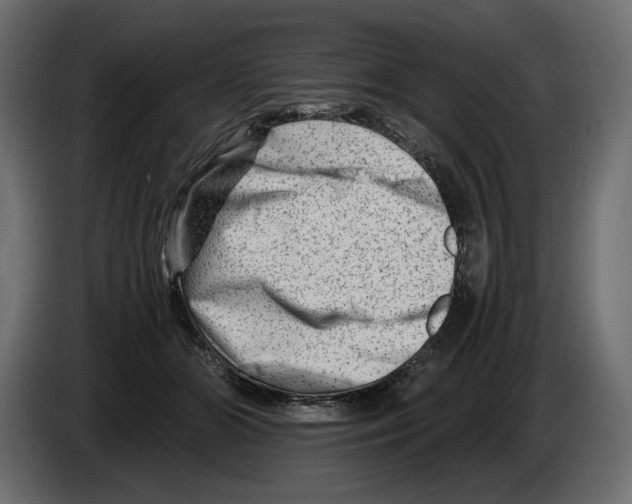 X0000082960510200703020215