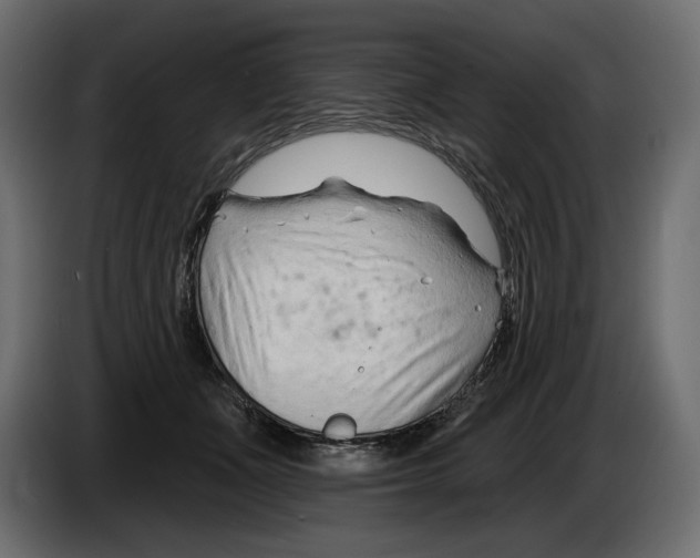 X0000082960511200703020215